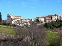 Becca il ladro in casa, linciato dal malvivente